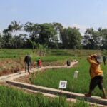 Program P3-TGAI Desa Lamajang Patut Di Jadikan Percontohan