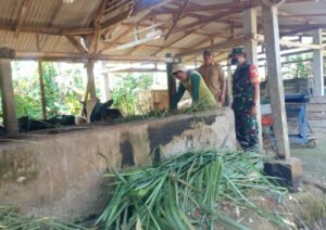 Babinsa Koramil Doko Laksanakan Pemantauan dan Pengecekan Hewan Ternak Sapi Milik Warga Binaannya