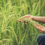 KAPTEN INF YEVI YUHANA KORAMIL 2407 / DAYEUHKOLOT JAJARAN KODIM 0624.KAB.BANDUNG MEMONITORING PENCARIAN WARGA MASYARAKAT YANG TEGGELAM