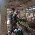 Badan Penanggulangan Bencana Daerah dan Administratur Perhutani KPH Bandung Selatan Jalin Kerjasama Penanggulangan Bencana