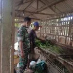 Badan Penanggulangan Bencana Daerah dan Administratur Perhutani KPH Bandung Selatan Jalin Kerjasama Penanggulangan Bencana