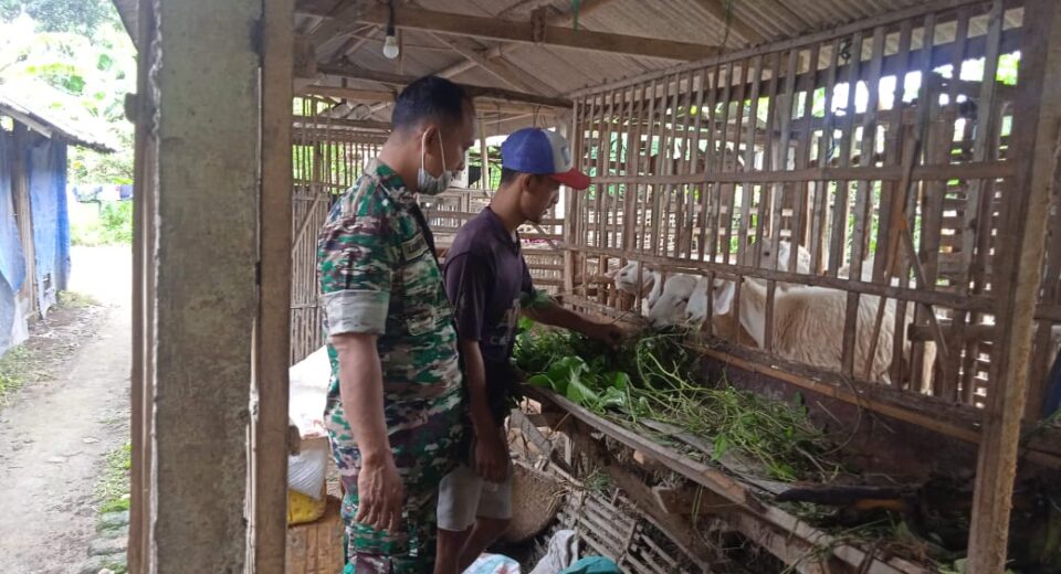 Mengingat besarnya potensi kerugian ekonomi yang dapat ditimbulkan oleh merebaknya PMK ini, maka sangat perlu upaya edukasi kepada masyarakat tentang upaya pencegahan dan penanganannya. Pencegahan dapat dilakukan dengan cara biosekuriti dan medis.