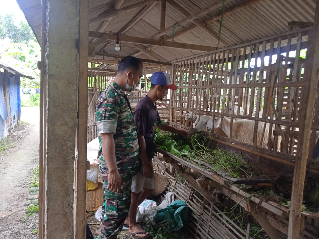 Mengingat besarnya potensi kerugian ekonomi yang dapat ditimbulkan oleh merebaknya PMK ini, maka sangat perlu upaya edukasi kepada masyarakat tentang upaya pencegahan dan penanganannya. Pencegahan dapat dilakukan dengan cara biosekuriti dan medis.