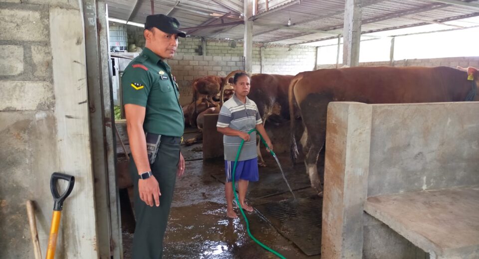 Babinsa Koramil 0808/16 Talun Laksanakan Pemantauan Dan Pengecekan Hewan Ternak