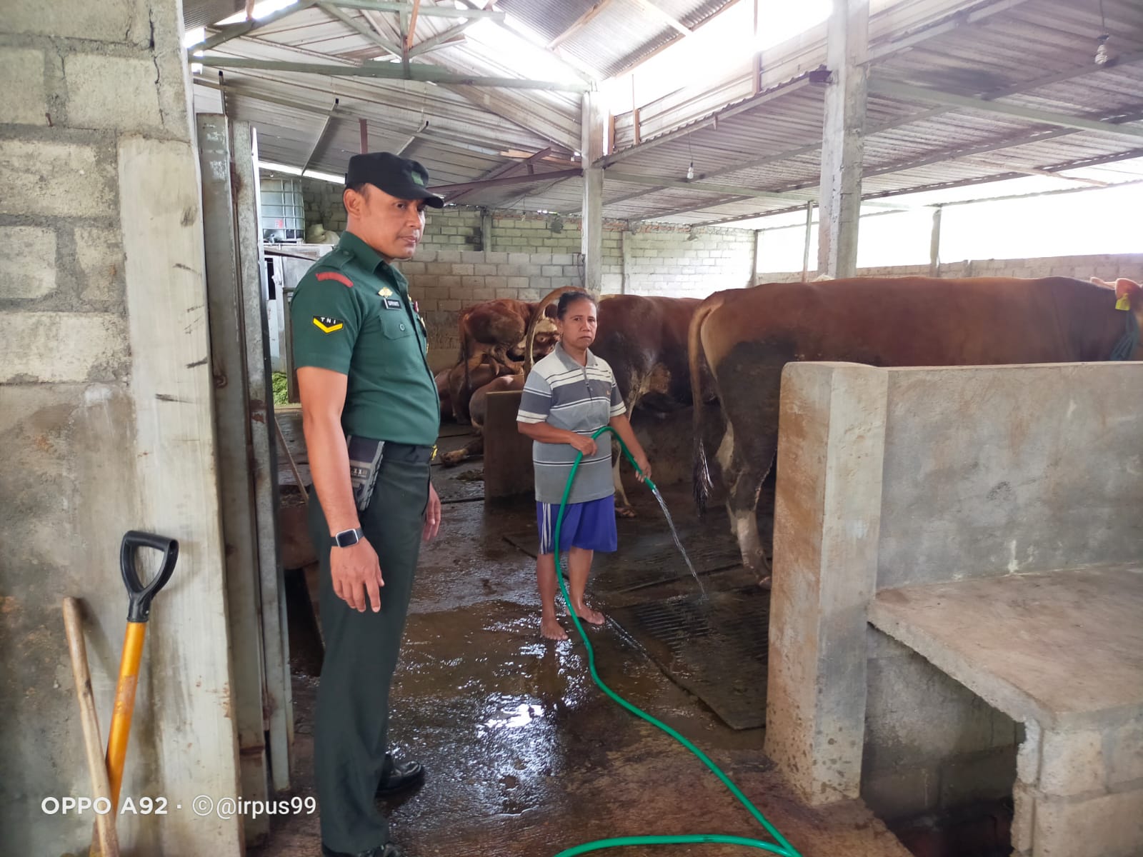 Babinsa Koramil 0808/16 Talun Laksanakan Pemantauan Dan Pengecekan Hewan Ternak