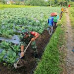 Kang Ds Mengawali Saur di Tahun 1444 Hijriyah Rumah Warga Masyarakat Tegal Luar