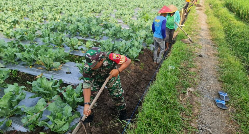 Babinsa Koramil Gandusari Kompak Bersama Warga Masyarakat Gelar Gotong Royong Bersama