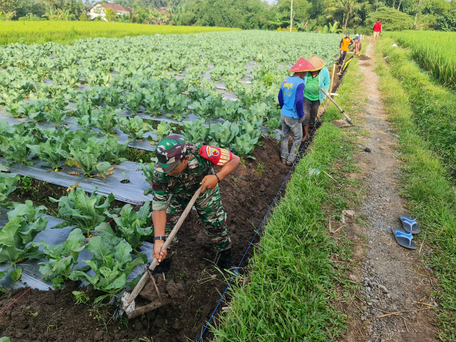 Babinsa Koramil Gandusari Kompak Bersama Warga Masyarakat Gelar Gotong Royong Bersama