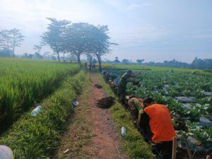 Babinsa Koramil Gandusari Kompak Bersama Warga Masyarakat Gelar Gotong Royong Bersama