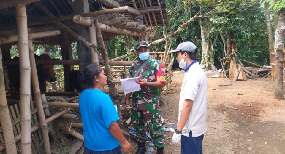 Wujud Kepedulian, Babinsa Koramil Talun Dampingi Petugas Dinas Peternakan Cek Kesehatan Hewan Ternak