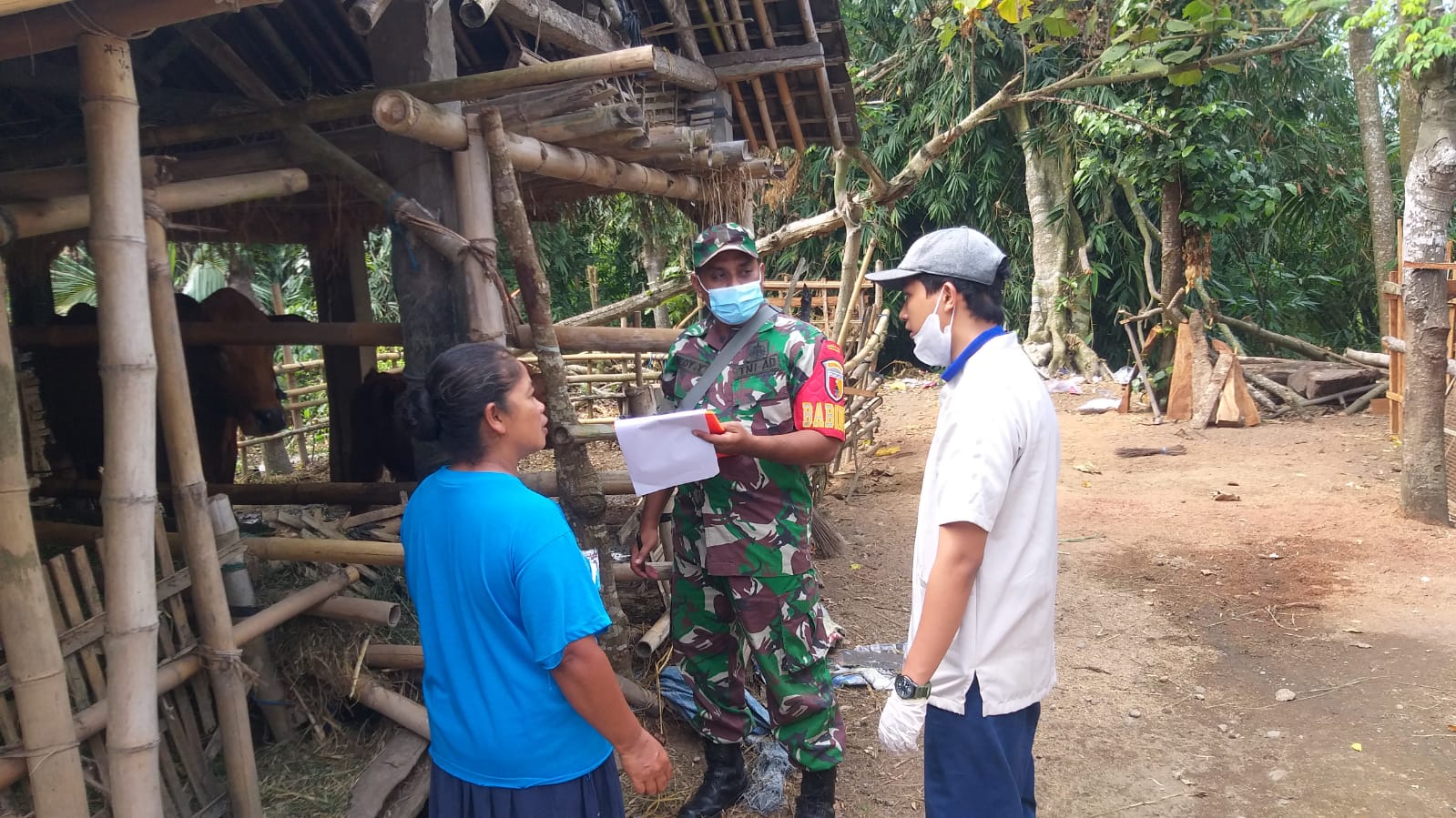 Wujud Kepedulian, Babinsa Koramil Talun Dampingi Petugas Dinas Peternakan Cek Kesehatan Hewan Ternak