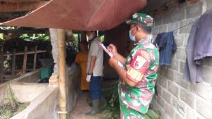 Wujud Kepedulian, Babinsa Koramil Talun Dampingi Petugas Dinas Peternakan Cek Kesehatan Hewan Ternak