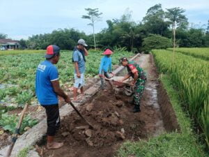 Tingkatkan Budaya Gotong Royong Di Wilayah Binaan, Babinsa Gandusari Gelar Kerja Bakti Bersama