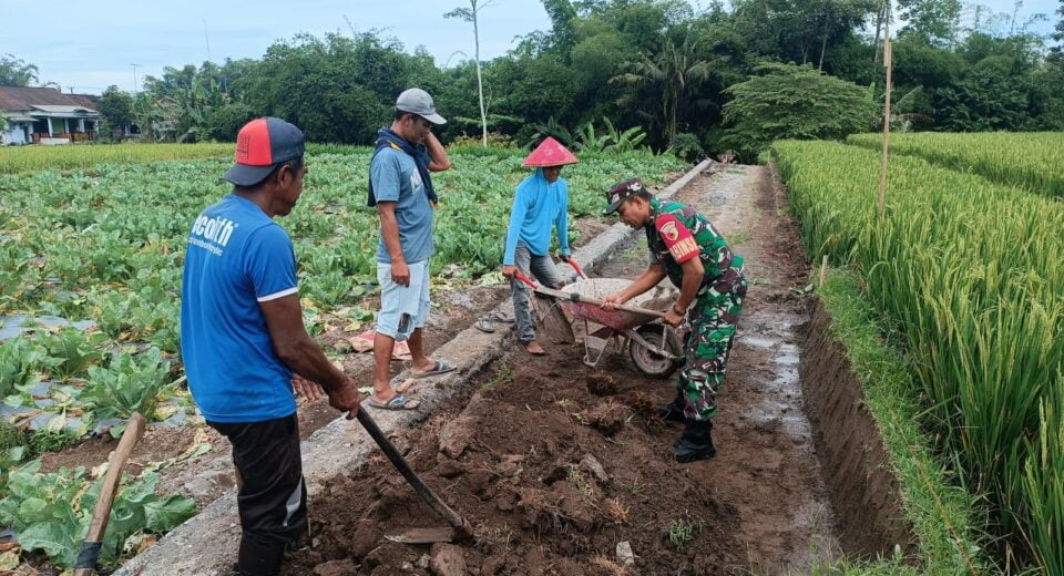 Tingkatkan Budaya Gotong Royong Di Wilayah Binaan, Babinsa Gandusari Gelar Kerja Bakti Bersama