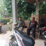 Harga Beras Bulog Mahal Diduga Ada Campur Tangan Mafia