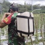 Perseteruan Antara Pelaku Poliandri WN Dan Suaminya AS Sangat Disesalkan Adanya Ancaman Kekerasan Dari Keluarga WN