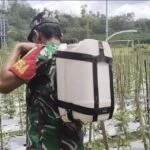 Perseteruan Antara Pelaku Poliandri WN Dan Suaminya AS Sangat Disesalkan Adanya Ancaman Kekerasan Dari Keluarga WN