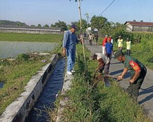 Peduli Kelestarian Alam, Babinsa Koramil Wlingi Bersama Dinas Terkait Lakukan Penghijauan