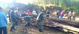 Bantu Atasi Kesulitan Rakyat, Babinsa Koramil Panggungrejo Bersama Warga Masyarakat Gelar Gotong Royong Bersama