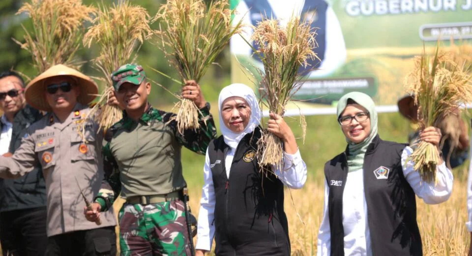 Dandim 0808/Blitar Dampingi Gubernur Jawa Timur Panen Raya Padi Di Wilayah Kabupaten Blitar