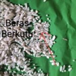 Kodim 0808/Blitar Gelar Sidang Pankar Jabatan Ba/Ta Dan Usul Kenaikan Pangkat Perwira, Bintara Dan Tamtama