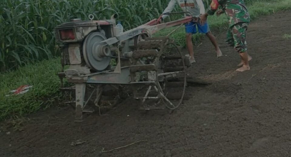 Selalu Hadir Di Tengah Masyarakat, Babinsa Koramil Ponggok Bantu Kelompok Tani Olah Lahan Pertanian