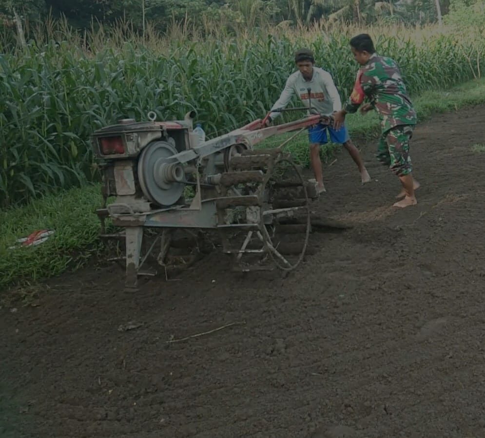 Selalu Hadir Di Tengah Masyarakat, Babinsa Koramil Ponggok Bantu Kelompok Tani Olah Lahan Pertanian