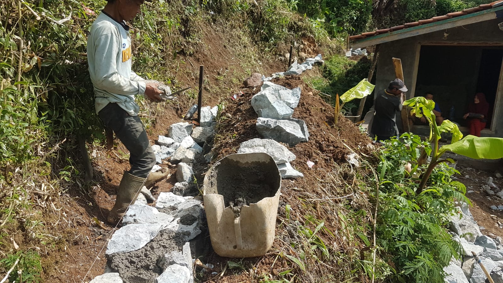 Carut Marutnya P3-TGAI Desa Cibodas Oleh Kelompok Tani Air Erci Lestari