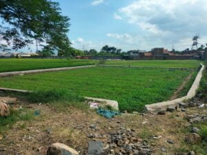 P3-TGAI Tani Makmur Sukapura Terkesan Di Paksakan