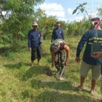 Kendarai Bekjul (Bebek Tujuh Puluh), Kapolres Banjar Berboncengan dengan Wali Kota Banjar Hadiri Acara Pemberian Remisi