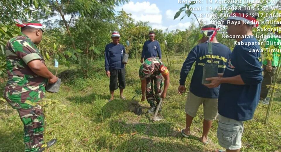 Dukung Penghijauan Di Wilayah Binaan, Babinsa Koramil Udanawu Bersama Warga Masyarakat Tanam Pohon Alpukat