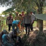 Peduli Kesehatan Hewan Ternak, Babinsa Koramil Ponggok Dampingi Kegiatan Vaksinasi PMK