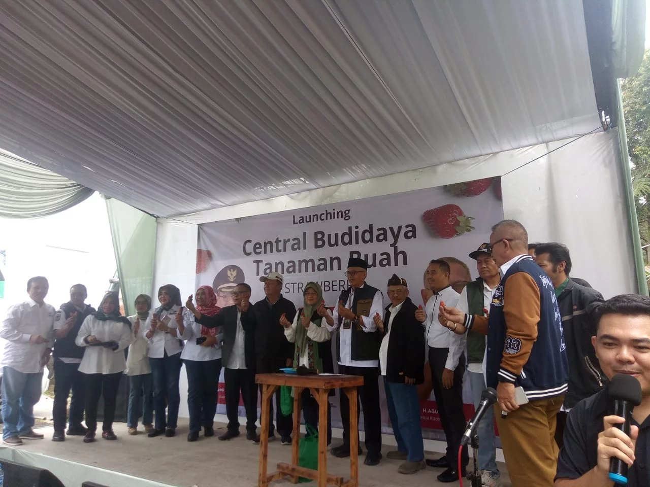 Launching Central Budidaya Tanaman Buah Strobery Varietas USA