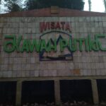 Launching Central Budidaya Tanaman Buah Strobery Varietas USA