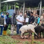 Berburu Takjil Sudah Menjadi Tradisi Yang Tidak Bisa Di Lewatkan Saat Masuk Bulan Ramadhan 1445