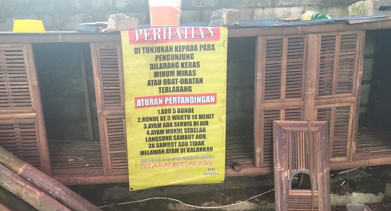Diduga Penjudi Sabung Ayam Apes Di Bubarkan APH
