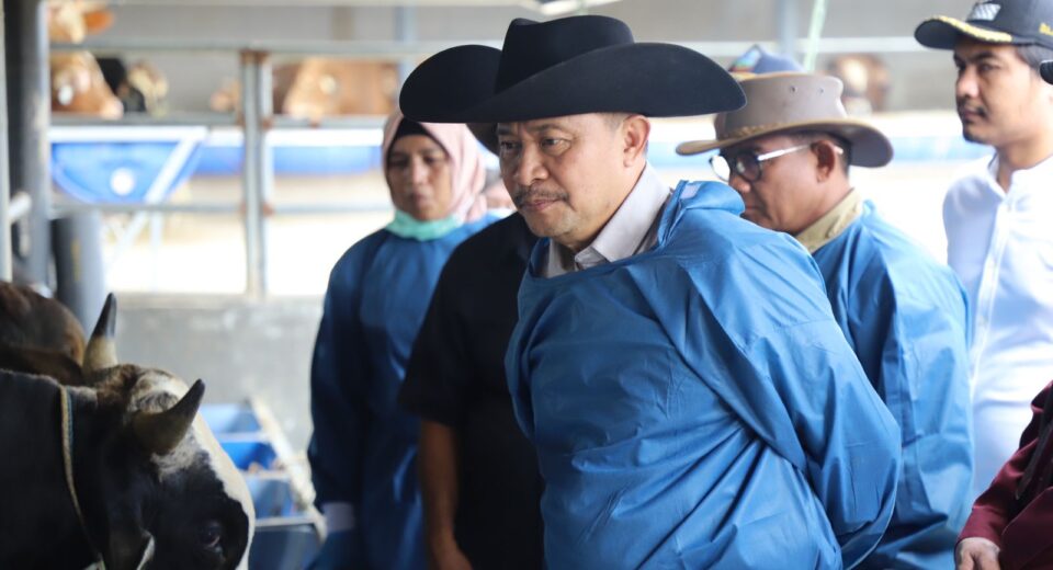 Penjabat Bupati Garut Tinjau Kesehatan Hewan Kurban di Karangpawitan Pemerintah Daerah pastikan hewan kurban di Garut layak dan sehat