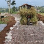 Wisuda TK Sekolah Pelangi Garut : Persiapan Generasi Unggul di Masa Depan