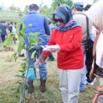 Optimal Manfaatkan Layanan SKK, Kabupaten Raih Penghargaan Dari BKN RI