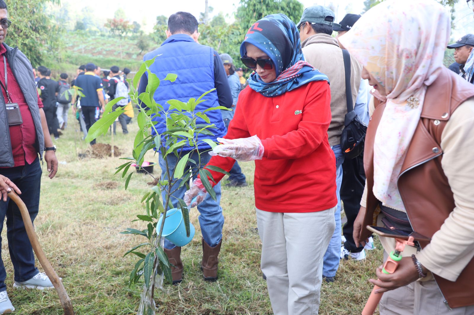 Pj. Bupati Garut Pimpin Penanaman Pohon Serentak Di Garut Dalam Upaya Pemulihan Lahan Kritis