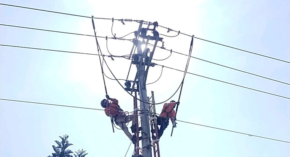 PLN UP3 Garut Melalui Pasukan Elit PDKB Lakukan Pemeliharaan Jaringan Untuk Menjamin Keandalan Pasokan Listrik