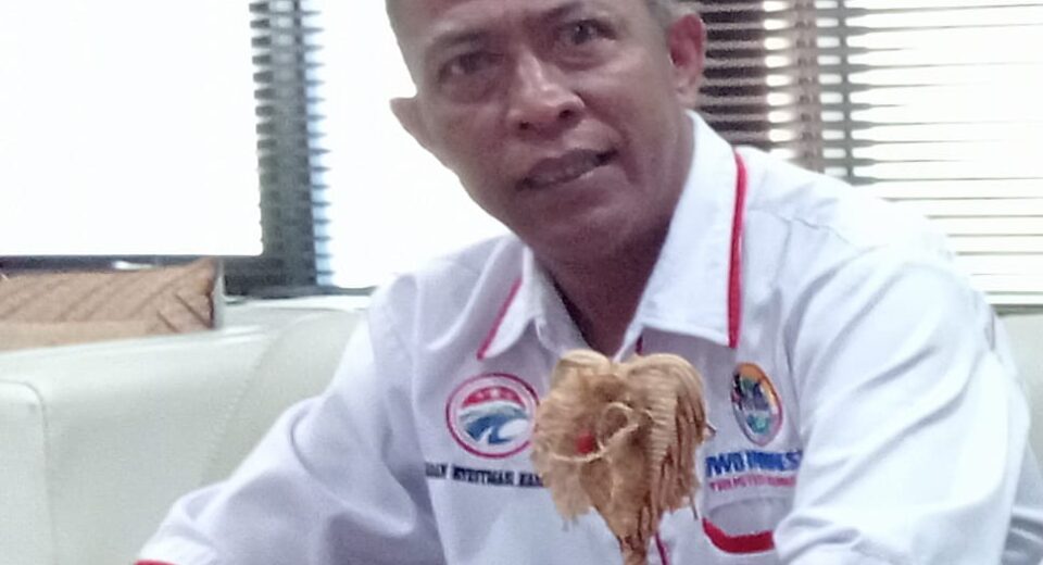 Mafia Proyek Digarut Makin Menjamur, Penegakan Hukum Terkesan Lumpuh, Gratifikasi Kian Subur Dan Pungli Semakin Menggila Lantas Apa Gunanya Ada Aturan ?,