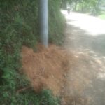 Orangtua Siswa SMKN 4 Keluhkan Adanya DSP, Komite Bantah Adanya Pungutan Dan Sebut Itu Sebagai Sumbangan