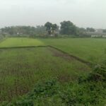 DIDUGA KURANG TRANSPARANSI RATUSAN JUTA/PKBM DAPAT BANTUAN DARI PUSAT KINI DI SOROT PUBLIK