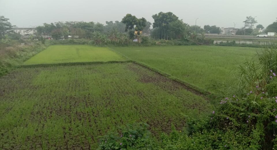 Disinyalir Terancam Dirugikan 9,7 Miliar Oleh Oknum Pegawai KCIC Dan BPN Kab Bandung,  Ahli Waris H Sukarya Harapkan Perlindungan Hukum Dari Gubernur Jabar