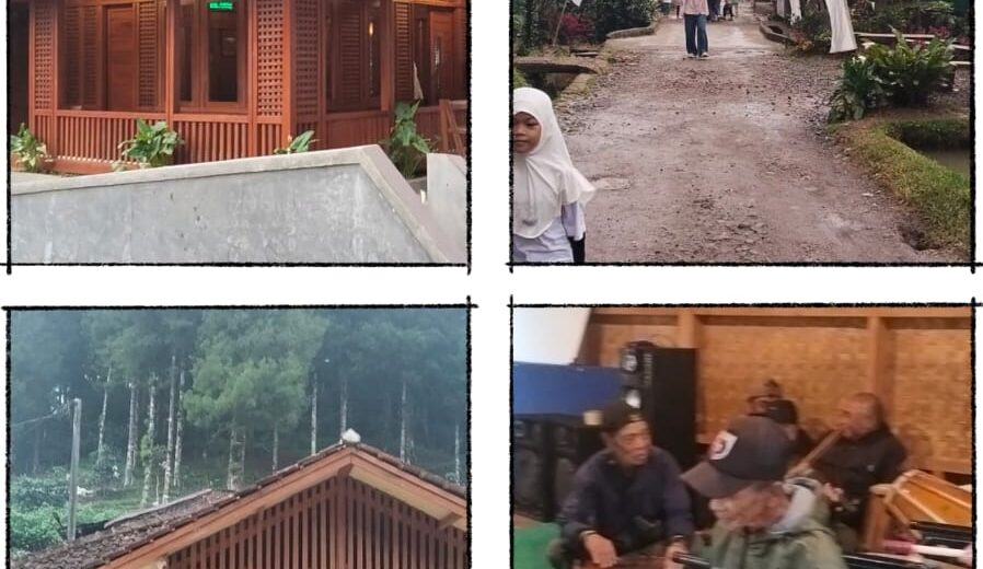 Mengenal Pohon Jamuju di Kampung Stamplat: Warisan Warisan Nenek Moyang IndonesiaSejak 1977 yang Menjadi Ikon Wisata Rancabali