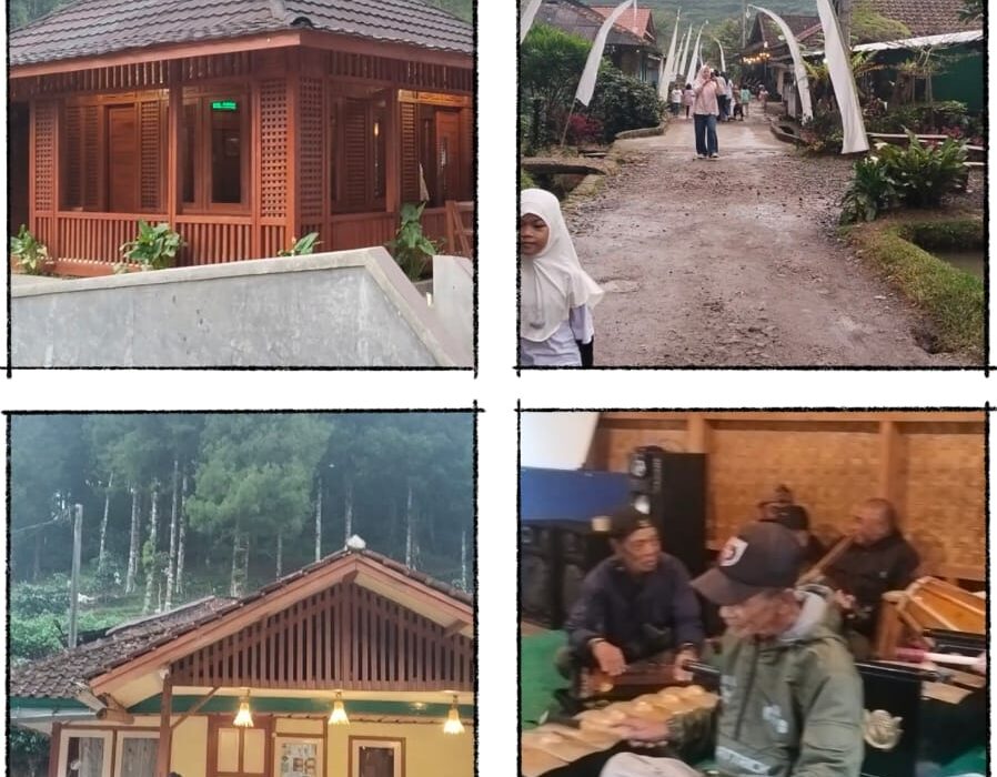 Mengenal Pohon Jamuju di Kampung Stamplat: Warisan Warisan Nenek Moyang IndonesiaSejak 1977 yang Menjadi Ikon Wisata Rancabali