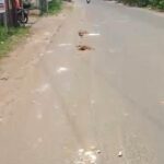 Abaikan Keselamatan Kerja, Pekerja PT Yator di Proyek PT Indo Boga Utama Diduga Langgar UU K3