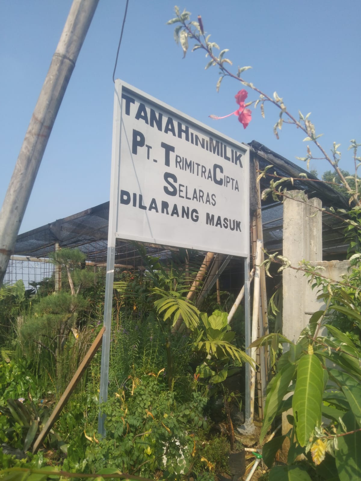 Dugaan sengketa lahan di kawasan Cikeas Gunung Putri tepat nya jln akses tol Cimanggis saat ini tengah menjadi perhatian