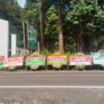 Pengunjung Ranca Upas Membeludak Luar Biasa di Akhir Pekan, Pengelola Harapkan Kemajuan Berkelanjutan